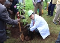 Mr. Mori planting a tree