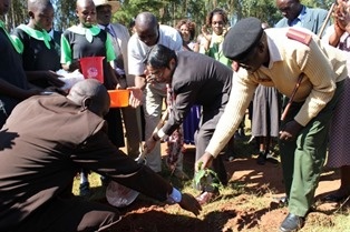 Mr. Mori planting a tree