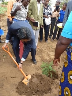 Mr. Mikio Mori planting a tree
