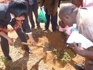 Mr. Yamana planting a tree