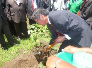 H.E. Terada planting a tree