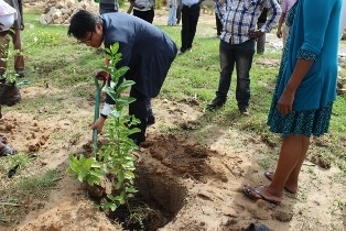 Mr. Mori planting a tree