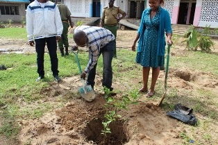 Hon. Mustafa planting a tree