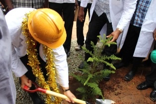 Mr. Mori planting a tree