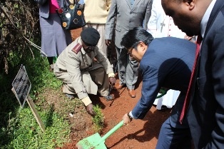 Mr. Mori planting a tree