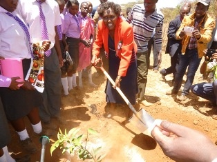 Hon. MP Hellen Sambili planting a tree.