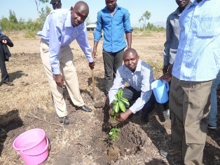 Mr. Denis Chemonges, County Youth Development Officer planting a tree