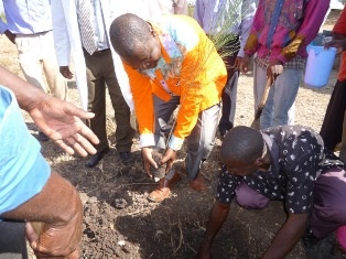 Mr. Joshua Atieno, Member of Kisumu County Assembly planting a tree.