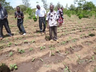 Ambassador Terada and Deputy County Commissioner visiting the project site with other officials.