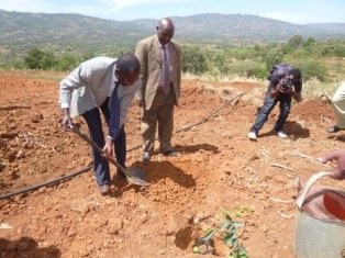 Deputy County Commissioner, Mr. Godfrey Omonding planting an orange tree.