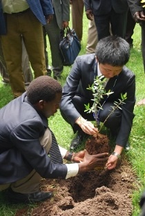 Mr. Yuki Yamana planting a tree