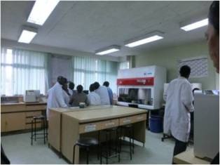 Laboratory: Almost all equipment was provided by the Government of Japan