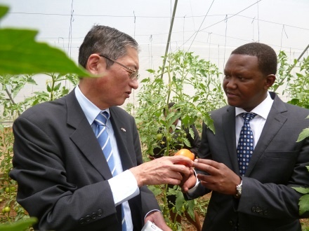 Ambassador Terada and Governor Mutua touring the Tomato green house.