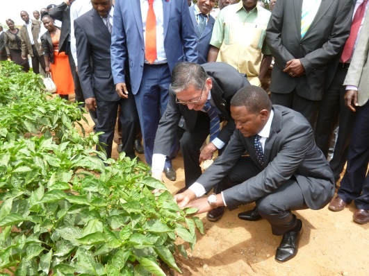 Ambassador Terada and Governor Mutua touring the open air Green Pepper site.