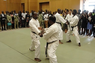 A karate demonstration in progress