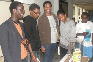 Participants looking at the display box containing One Piece Manga and character miniature dolls