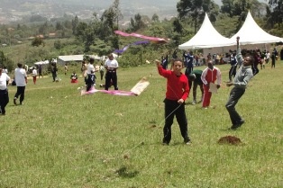 Children Flying their Kites