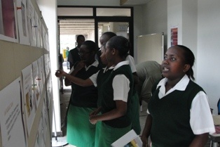 Participants Reading through a Fact Sheet Display on Modern Japanese Culture