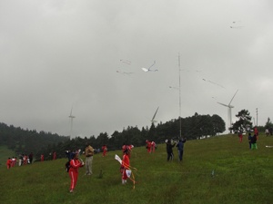 The participants flying their kites