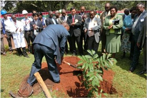 Hon Kilonzo planting a memorable tree
