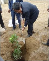 Mr. Mori planting a tree
