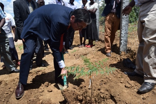 Ambassador Terada planting the Melia Volkensii