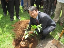 Mr. Mikio Mori, Charge d’ Affaires of  Japanese Embassy in the  Republic of Kenya planting a tree