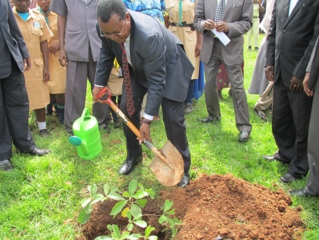 Professor Kutima, Deputy Governor of Kakamega County planting tree