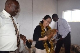 Ms. Takashima holding a chicken in the new poltury pen